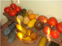 88d7f50f-tikve 2.JPG